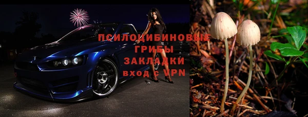 спайс Гусь-Хрустальный