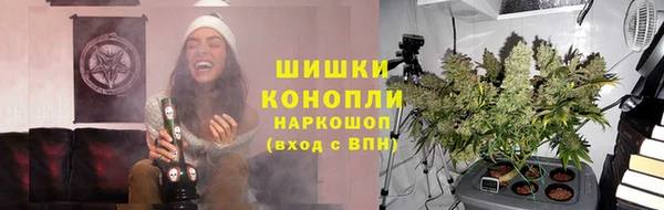 гидра Гусев