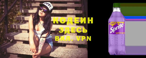 гидра Гусев