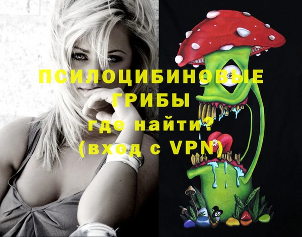 спайс Гусь-Хрустальный