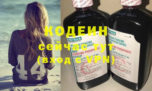 гидра Гусев