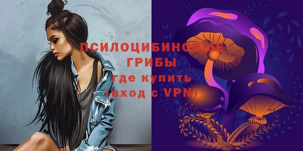 гидра Гусев