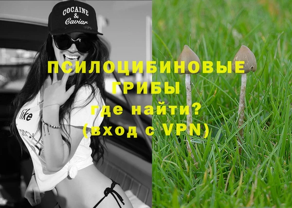 спайс Гусь-Хрустальный