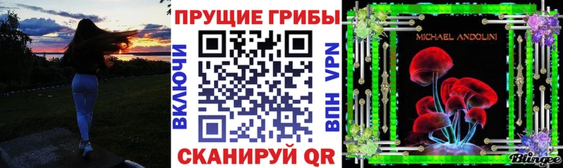 Купить где  Усть-Илимск  Псилоцибиновые грибы прущие грибы